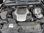 Bridgeton, MO에서 판매 중인 2021 Audi Sq5 Sportback Prestige - Rear End