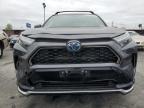 2024 Toyota Rav4 Prime Xse   იყიდება Wilmington-ში, CA - Side