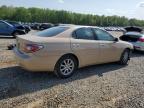 2002 Lexus Es 300 იყიდება Memphis-ში, TN - Front End