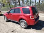 2011 Ford Escape Limited de vânzare în Cicero, IN - Front End