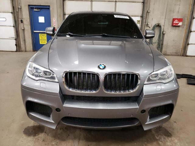 Parquets BMW X6 2013 Gray