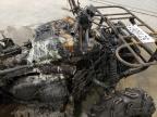 2006 Yamaha Yfm for Sale in Avon, MN - Burn