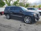 2015 Cadillac Escalade Premium for Sale in Bridgeton, MO - Hail