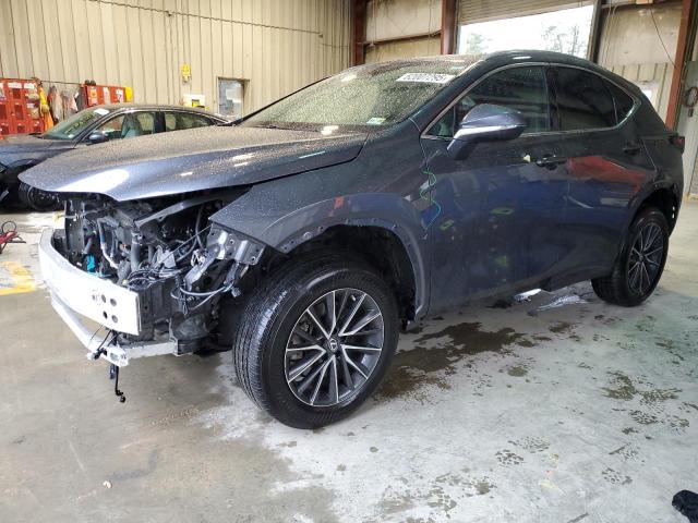 LEXUS NX 350 2022