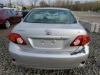 Louisville, KY에서 판매 중인 2010 Toyota Corolla Base - Front End