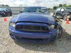 2013 Ford Mustang  de vânzare în Prairie Grove, AR - Front End