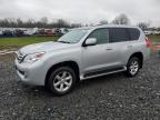2010 Lexus Gx 460 en Venta en Hillsborough, NJ - Rear End