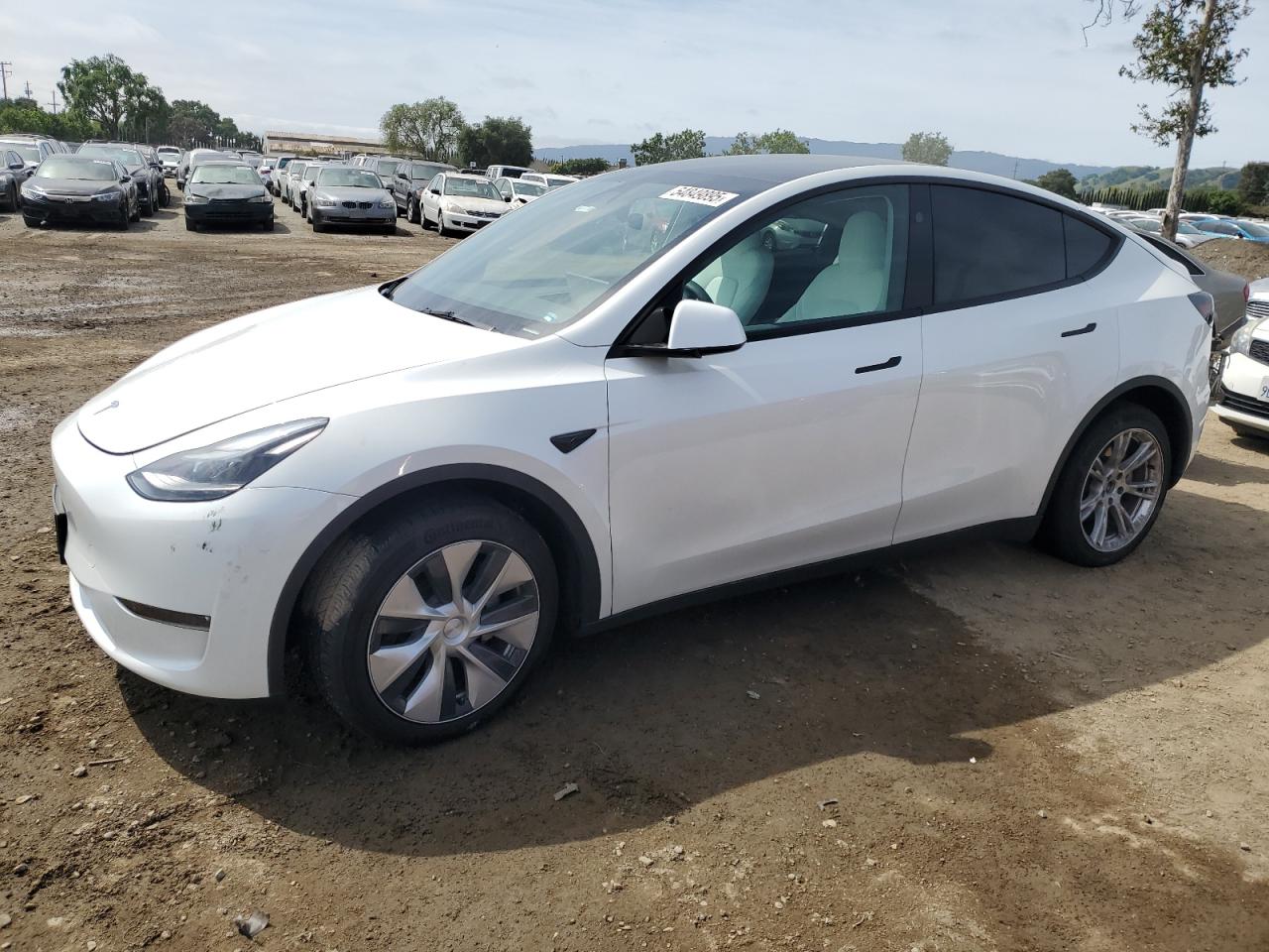 2023 TESLA MODEL Y WHITE VIN: 7SAYGDEE3PF815088