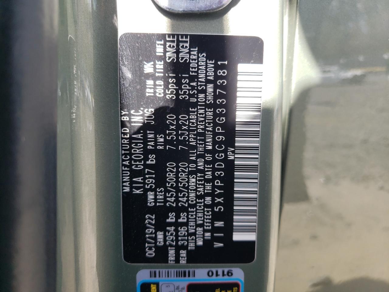 2023 Kia Telluride Ex VIN: 5XYP3DGC9PG337381 Lot: 52011685