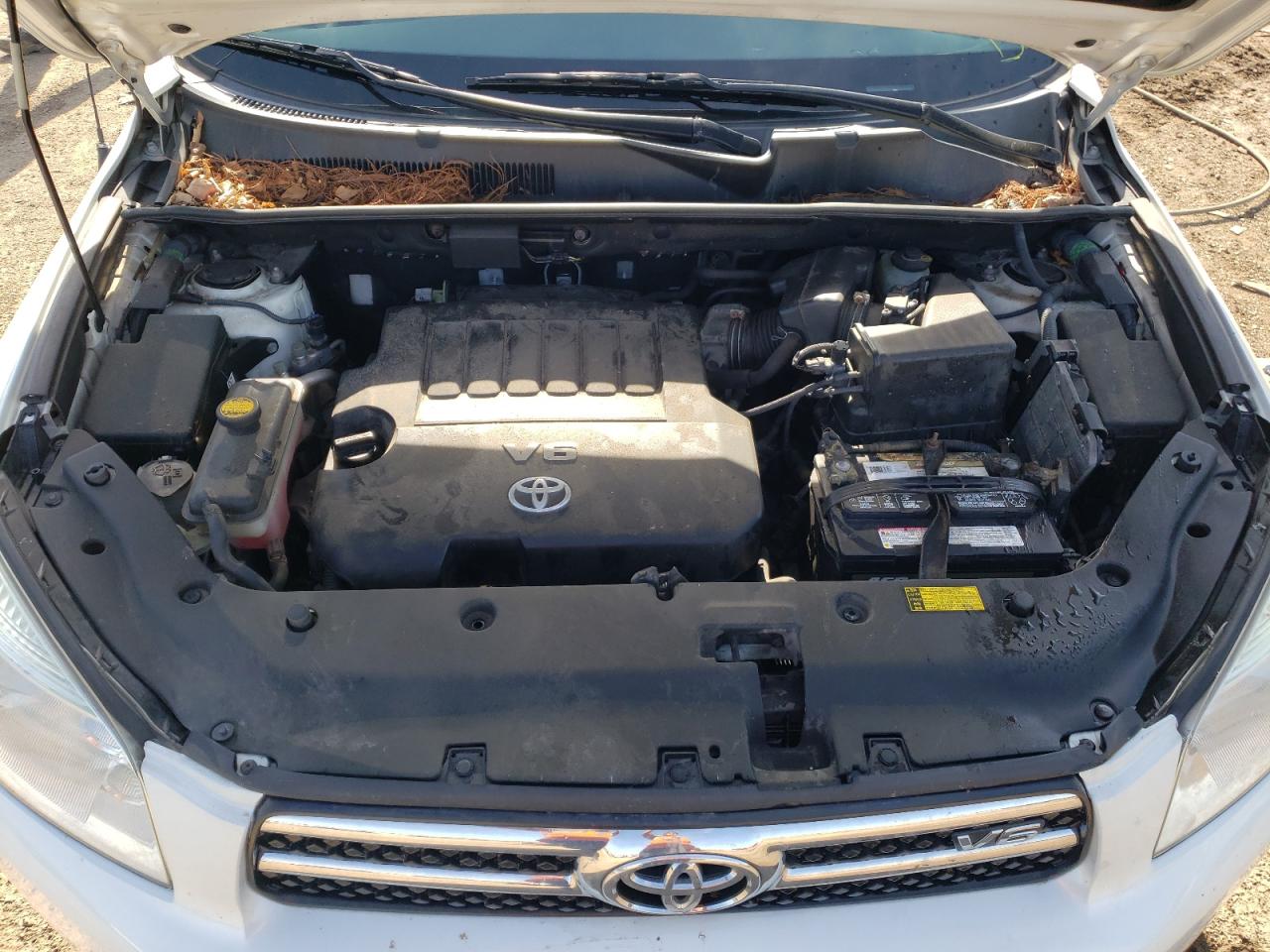 2007 Toyota Rav4 Limited VIN: JTMZK31V175015049 Lot: 54200585