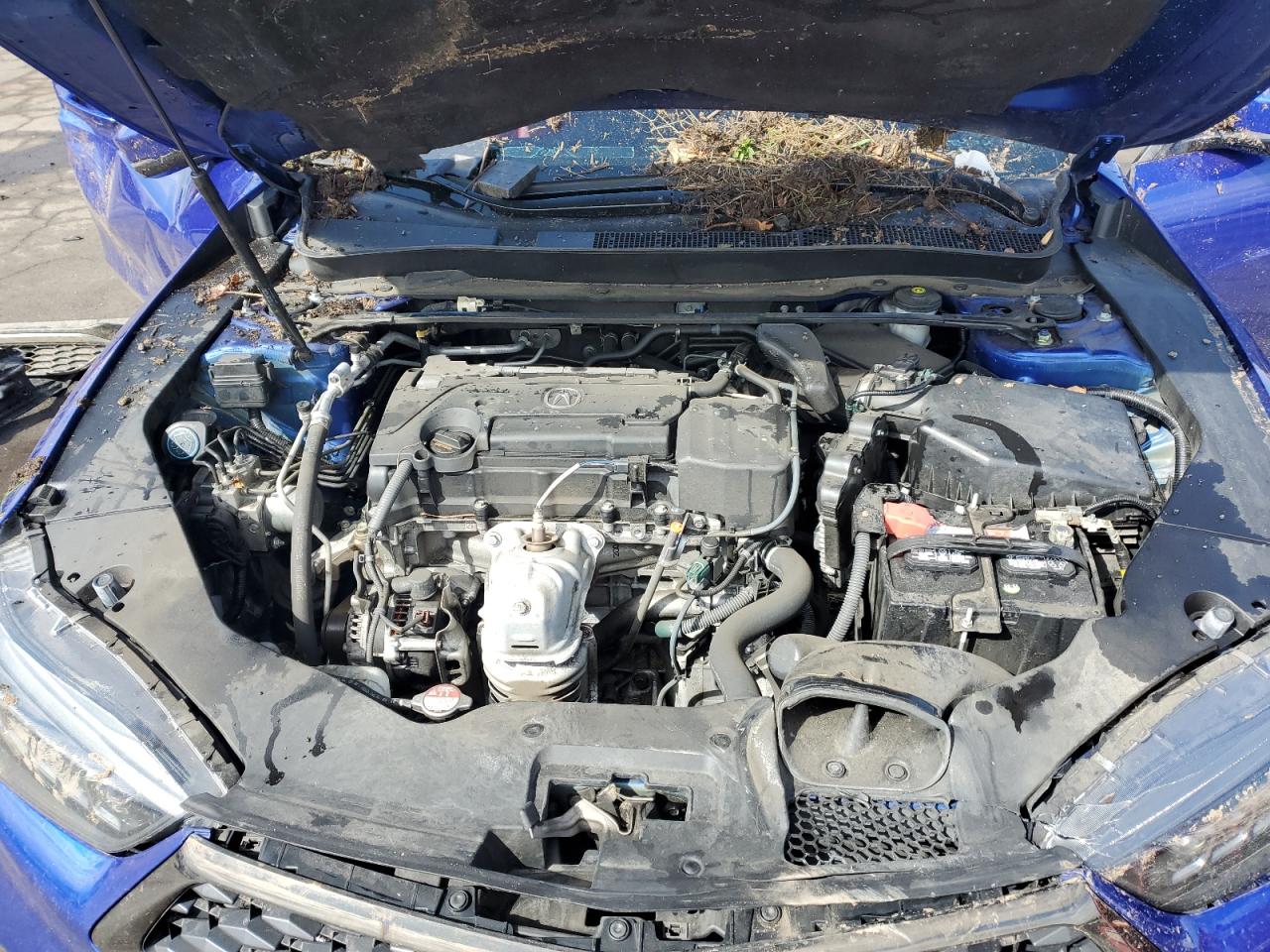 2020 Acura Tlx Technology VIN: 19UUB1F6XLA010239 Lot: 53940685