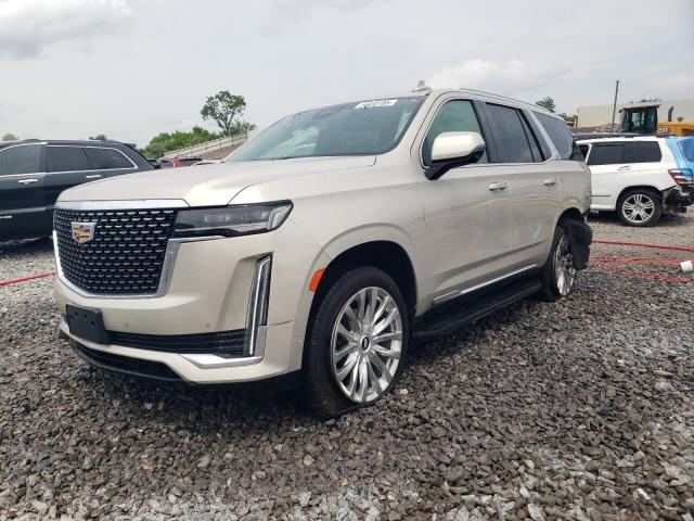 CADILLAC ESCALADE P 2021