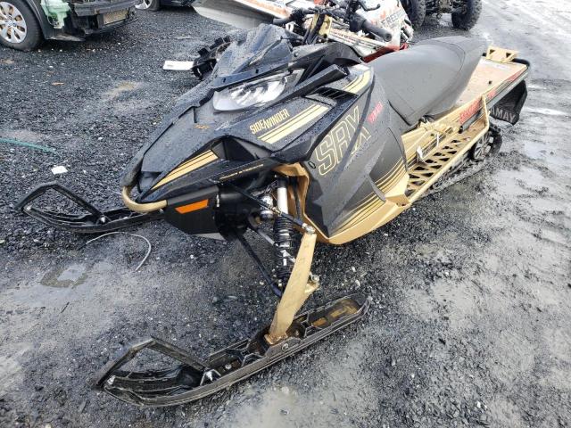 2024 YAMAHA SIDEWINDER