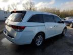 2016 Honda Odyssey Exl en Venta en Louisville, KY - Hail