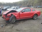 2005 Ford Mustang  na sprzedaż w Baltimore, MD - Front End