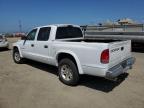 2002 Dodge Dakota Quad Slt للبيع في American Canyon، CA - Minor Dent/Scratches