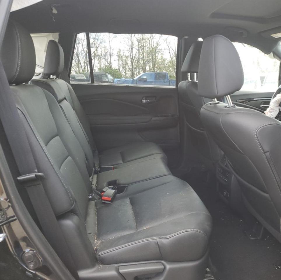 2021 Honda Passport Elite VIN: 5FNYF8H01MB033021 Lot: 53395775