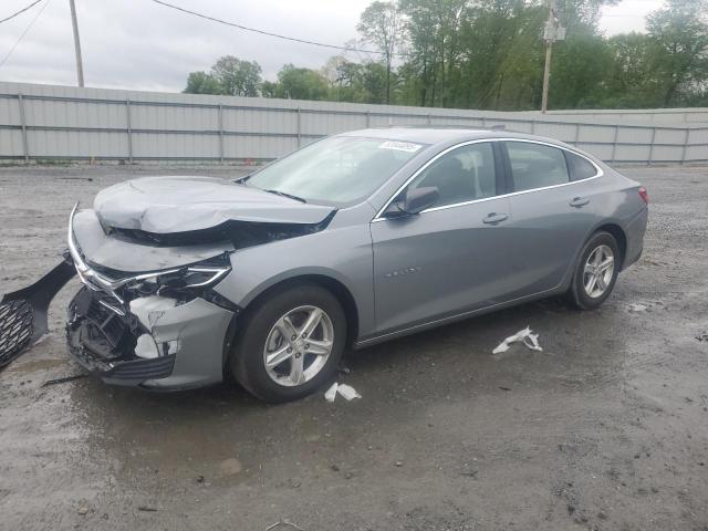 CHEVROLET MALIBU LS 2024