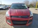 2016 Ford Escape Se for Sale in Indianapolis, IN - Rear End