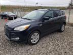 2013 Ford Escape Se de vânzare în Northfield, OH - Minor Dent/Scratches