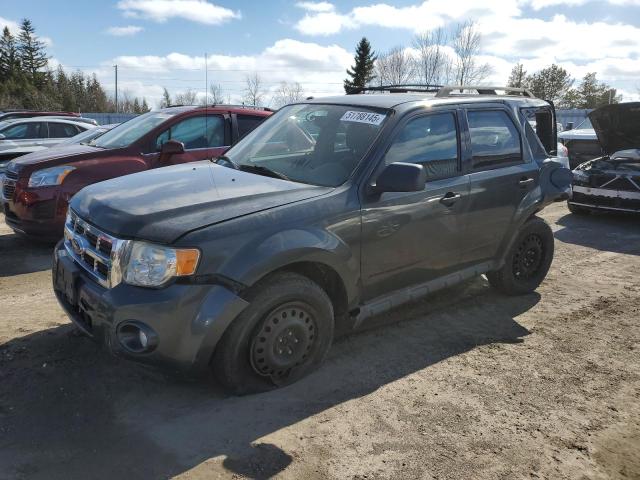 2009 Ford Escape Xlt