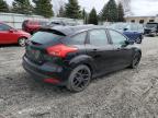 2016 Ford Focus Se for Sale in Albany, NY - Normal Wear