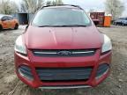 Baltimore, MD에서 판매 중인 2013 Ford Escape Se - Side