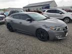 2018 Nissan Maxima 3.5S for Sale in Louisville, KY - Side