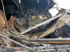 2017 Peterbilt 579 Semi Truck zu verkaufen in Grand Prairie, TX - Burn - Engine