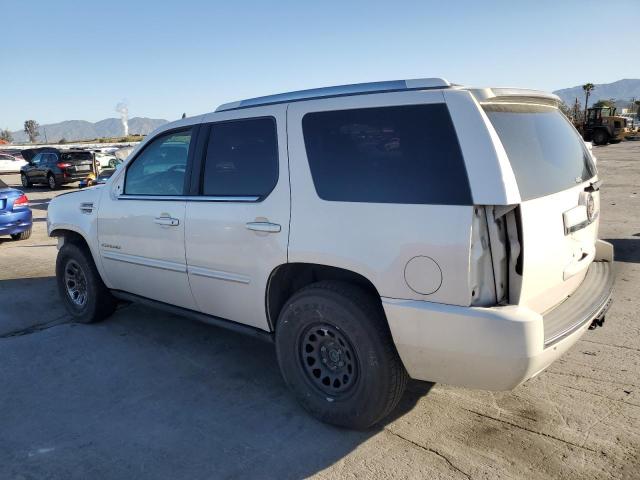 Паркетники CADILLAC ESCALADE 2013 Белый