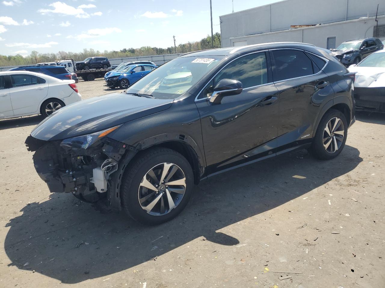 2019 Lexus Nx 300H for Sale in Fredericksburg, VA - Front End