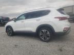 2020 Hyundai Santa Fe Limited na sprzedaż w Earlington, KY - Hail