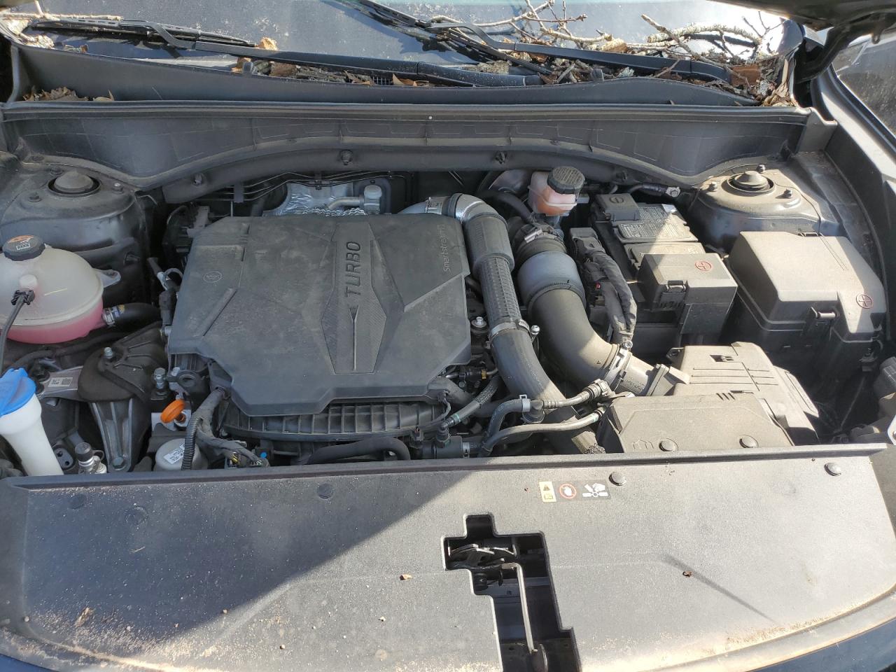 2021 Kia Sorento Sx VIN: 5XYRKDLF0MG028244 Lot: 52594115