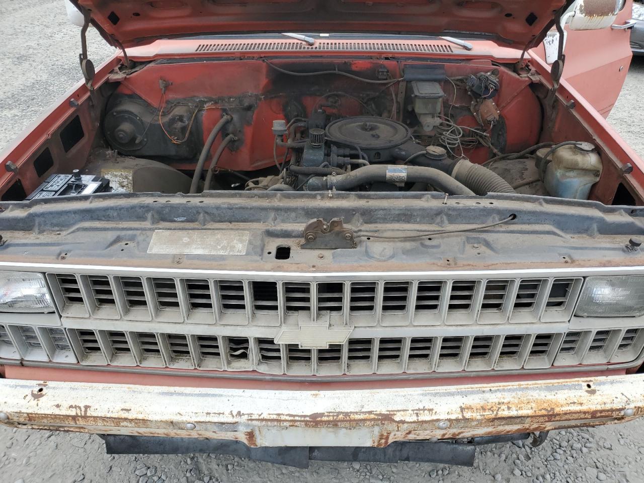 1981 Chevrolet C10 VIN: 1GCCG14D7BJ114596 Lot: 53203345