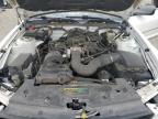 2005 Ford Mustang  for Sale in Jacksonville, FL - Front End