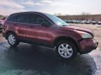 2008 Honda Cr-V Ex на продаже в Littleton, CO - Rear End