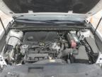 2019 Toyota Camry L na sprzedaż w Houston, TX - Hail