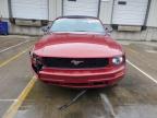 2007 Ford Mustang  en Venta en Louisville, KY - Front End