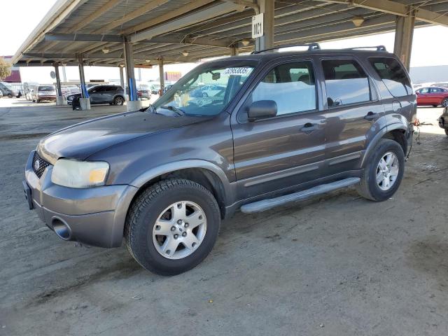 2006 Ford Escape Xlt
