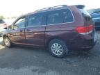 2008 Honda Odyssey Exl იყიდება Riverview-ში, FL - Front End