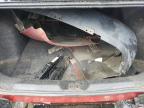 2013 Dodge Dart Se for Sale in Spartanburg, SC - Rear End