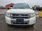 2010 FORD ESCAPE LIMITED for sale at Copart ON - LONDON