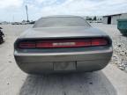 Apopka, FL에서 판매 중인 2010 Dodge Challenger Se - Front End