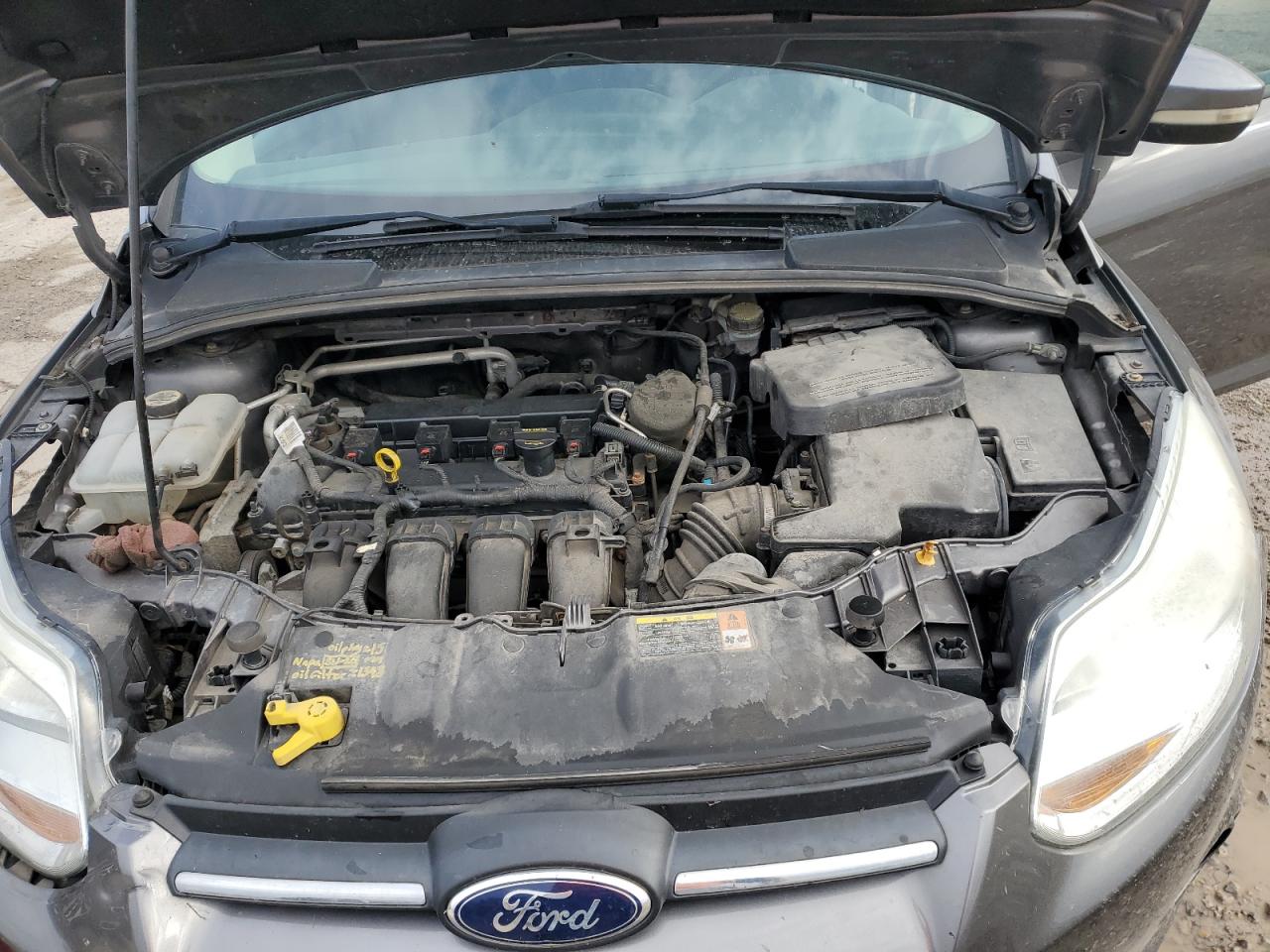 2013 Ford Focus Se VIN: 1FADP3F24DL239763 Lot: 51545575