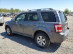 2011 Ford Escape Limited للبيع في Hillsborough، NJ - Minor Dent/Scratches