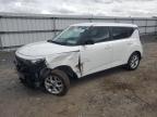 2024 Kia Soul Lx zu verkaufen in Fredericksburg, VA - Front End