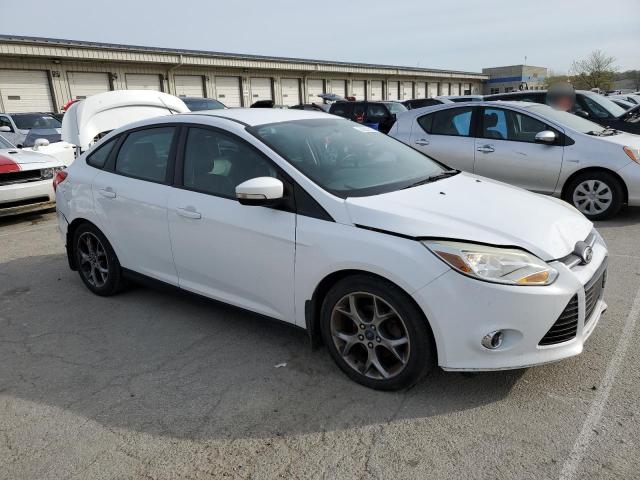  FORD FOCUS 2014 White