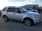 2011 Ford Escape Xlt за продажба в Leroy, NY - Normal Wear