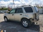 2011 Ford Escape Xlt за продажба в Walton, KY - Rear End