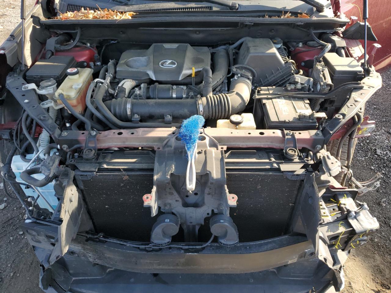 2019 Lexus Nx 300 Base VIN: JTJBARBZ4K2194204 Lot: 53959145